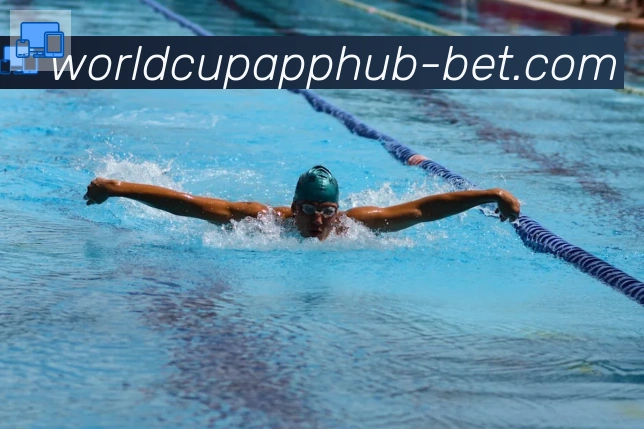 2026世界杯投注入口服务体系