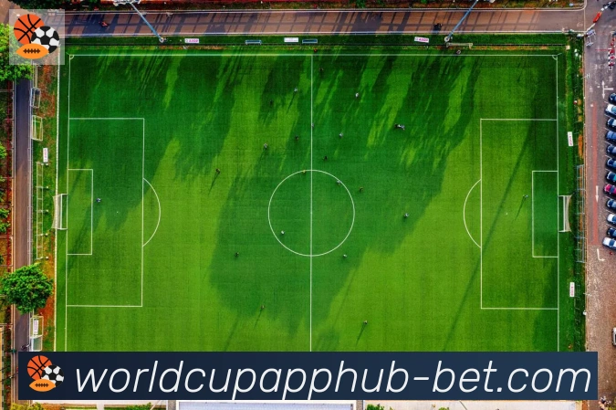 2026世界杯投注入口荣誉