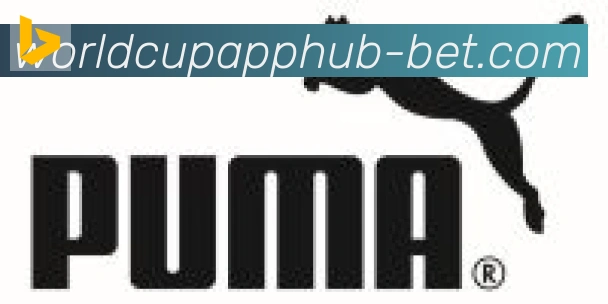 2026世界杯投注入口合作伙伴